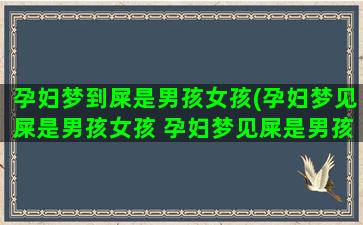 孕妇梦到屎是男孩女孩(孕妇梦见屎是男孩女孩 孕妇梦见屎是男孩女孩的含义)